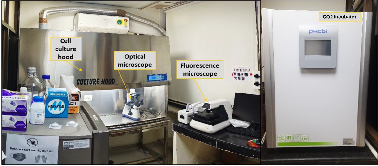 Cell culture facility